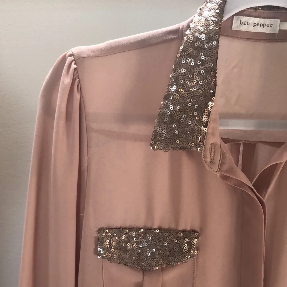 Blu Pepper Sheer Glitter Blouse - Picture 2 of 9